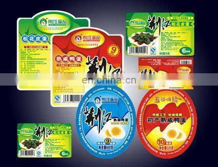 HAS Video Sticker Label Die Cutting Machine from Roll to Sheet or to Roll with Hot Stamping,hole Puncher