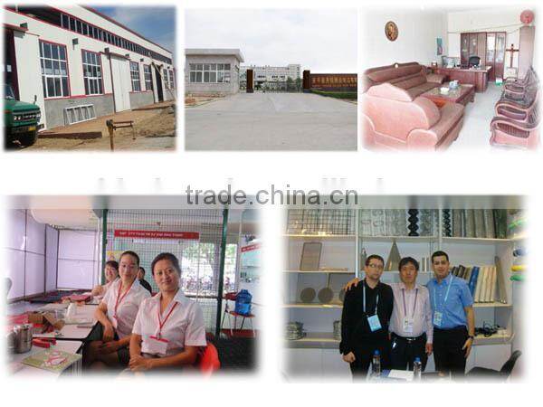 2015 Anping Galvanized Perforated Metal Sheet/Stainless Steel Perforated Metal Sheet/Customized Perforated Metal Sheet