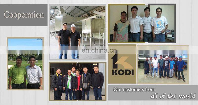 KODI Continuous Cassava Belt Dryer Belt Drying Machine