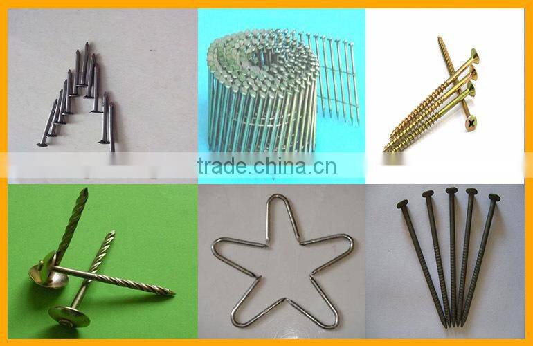 Galvanized Steel Concrete Nail Manufacture