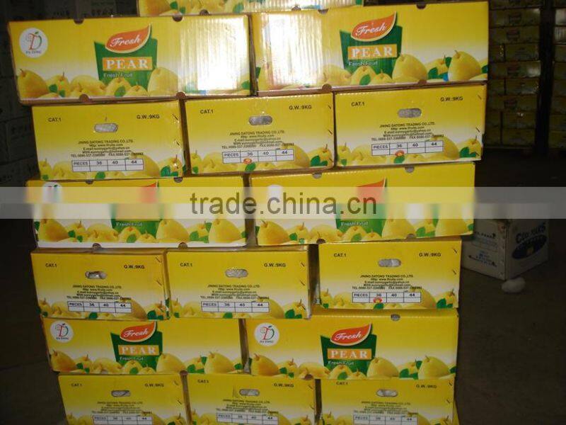 2015 crop Chinese fresh Ya Pear in hot sale