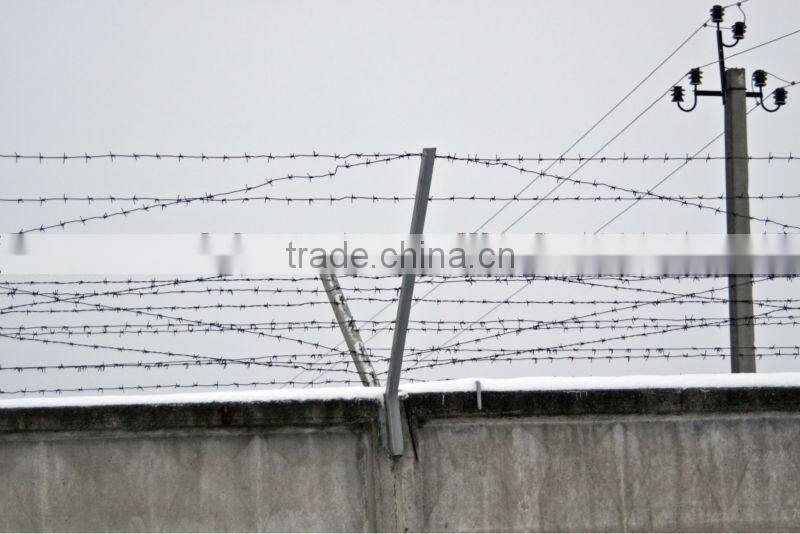 Hot dipped galvanized high quality double twisted barbed wire