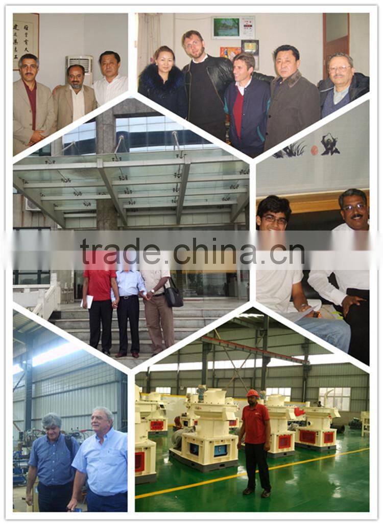 good quality best price HMBT small feed pelletizer homemade