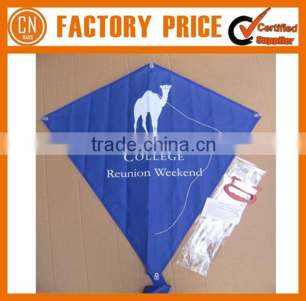 Cheap Diamond Promotional Kite