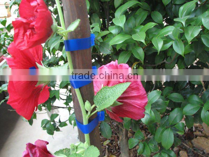 Hand held tying tools tapetool