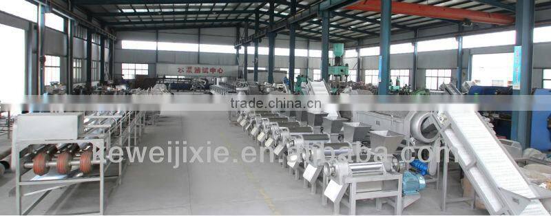 hammer types and carrot fruit crushing machine