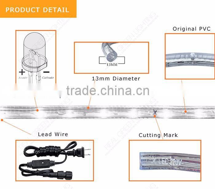 Hot sales 220V Crystal Blue LED Rope Light
