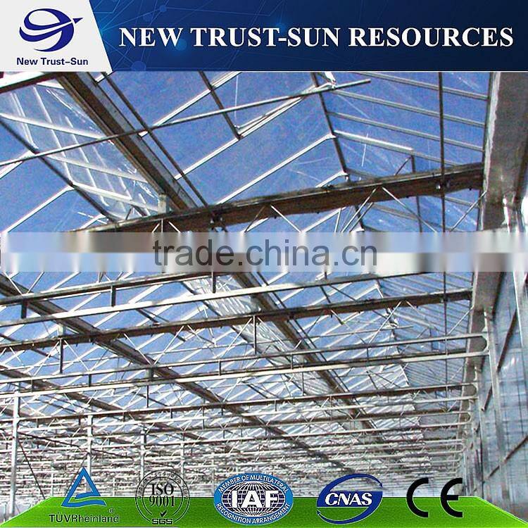 Venlo tempered glass/float glass greenhouse with hydroponic growing system