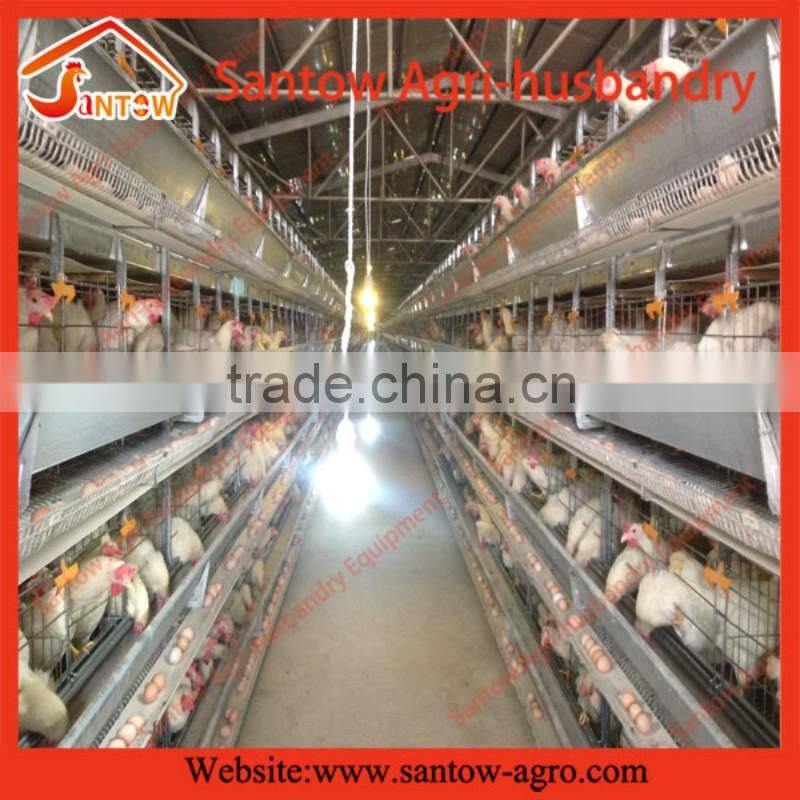 Stable steel structure professional chicken egg layer cage chicken egg layer farming