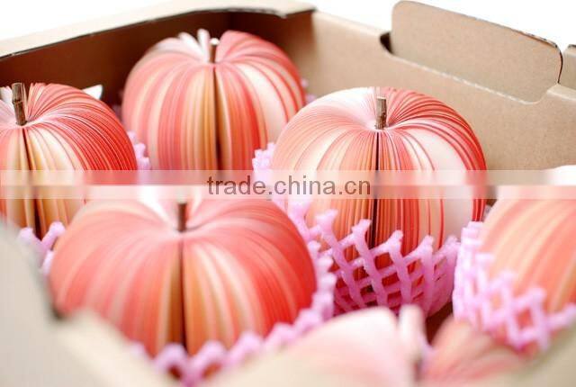 Customized design colorful fruit shape memo pad