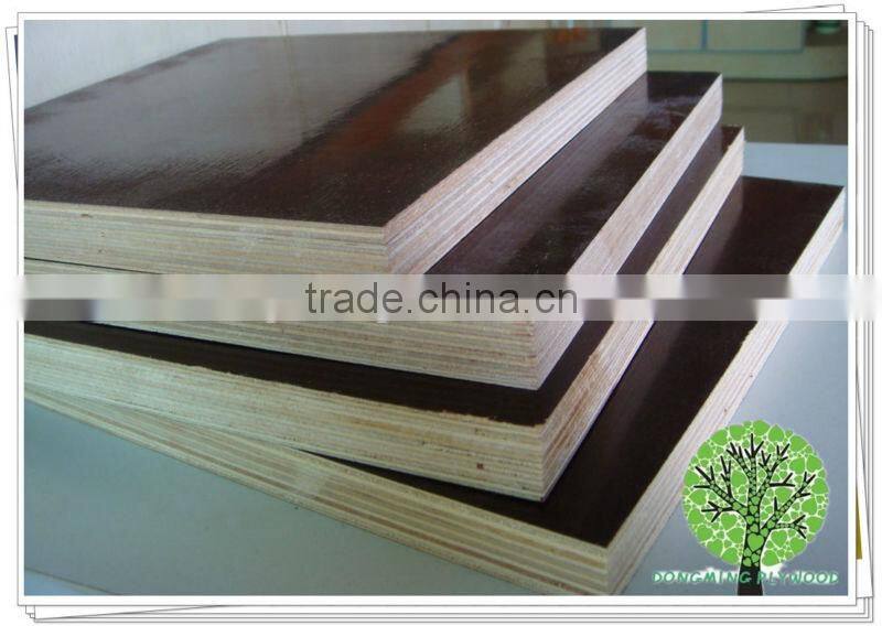 Construction Plywood LVL Pine