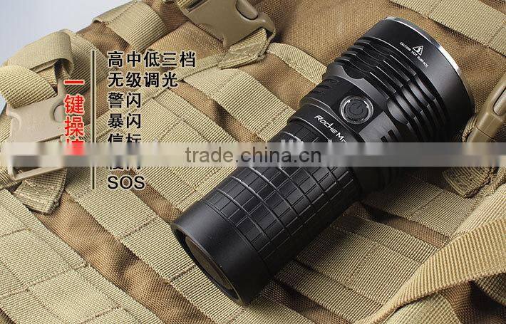 Roche hand hold flashlight big size torch search led flashlight