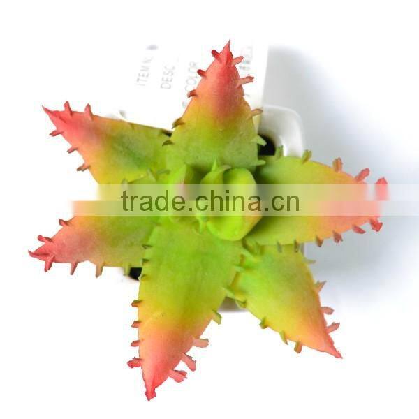 Modern Home Decor Mini Succulent Artificial Plants with Ceramic Pots