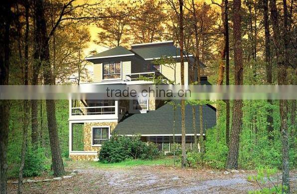 light steel structure prefabricated house/villa