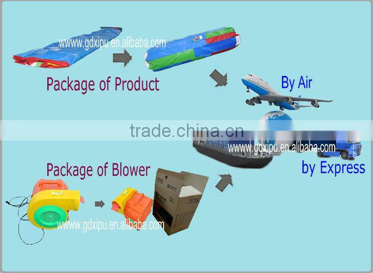 2016 Best Selling Giant Inflatable Water Volleyball Pure Water Equipment