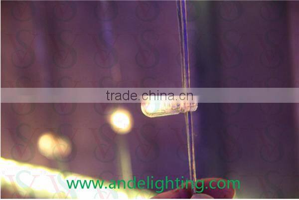 Christmas light string led clip light /led 12v lights