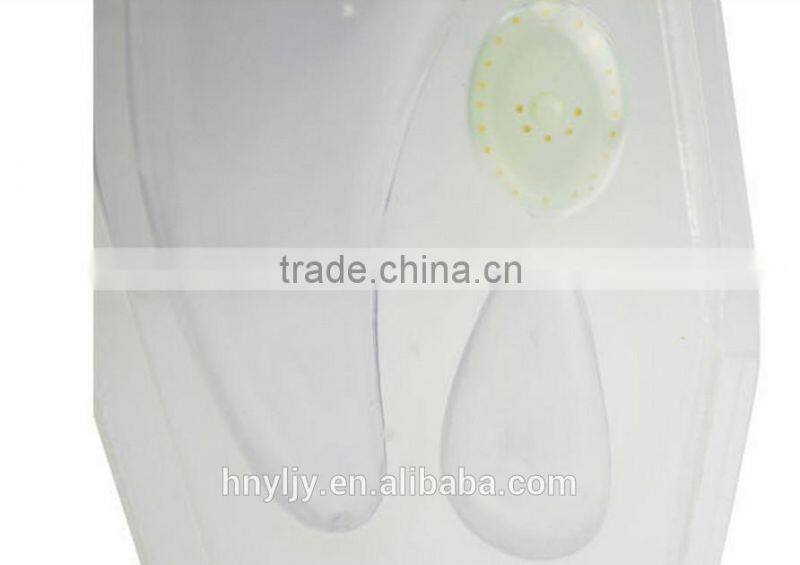 Anatomical Plant Model