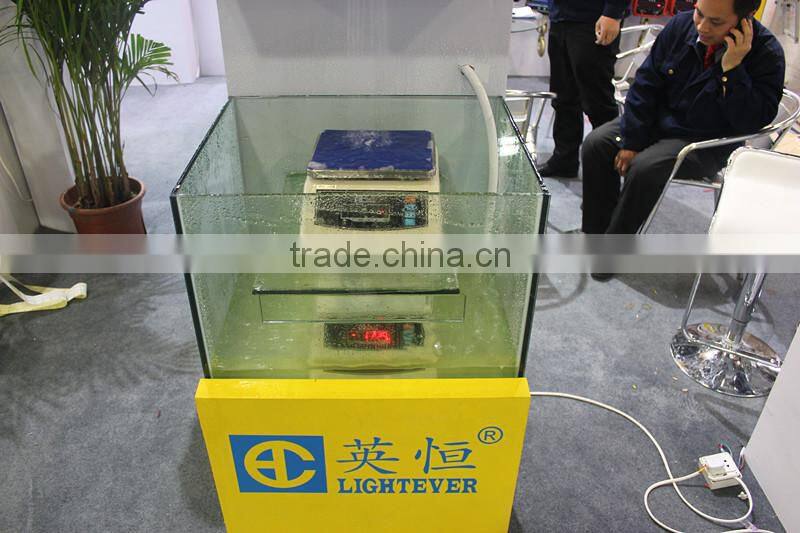 IP 68 electronic waterproof weighing scale