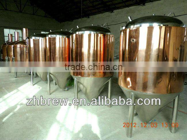 500l SUS304 home brewing fermenter/home brew fermenter/fermentation container CE ODM manufacturer