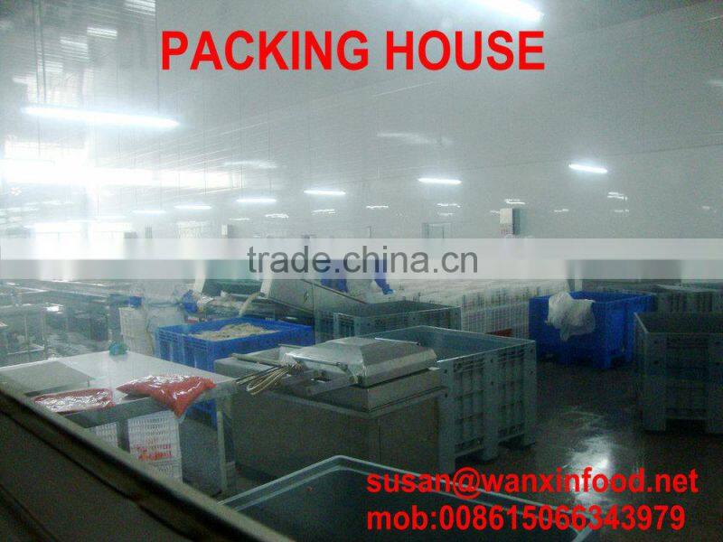 natural white color ginger slice in marinade