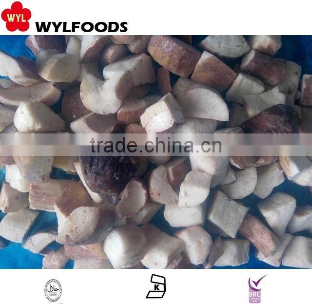 delicous snack frozen samosa high quality