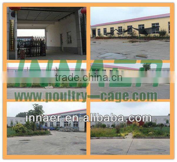 Heavy Type Welded Wire Mesh Anping County China Supplier