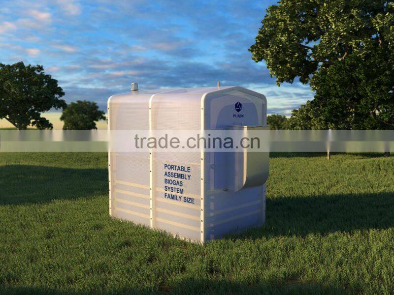 Mini portable assembly biogas system
