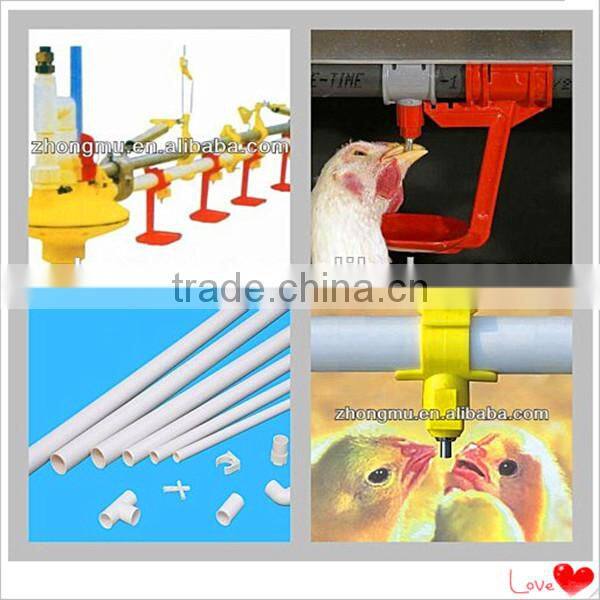 Hot galvanized metal chicken poultry shed farm equipment for chicken cage