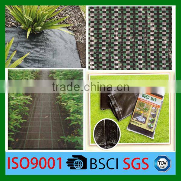 HDPE ground cover & weed resistant net from China