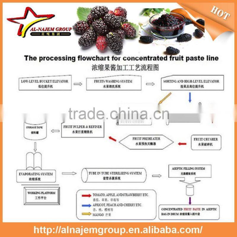 Best sale Full automatic industrial mulberry jam maker machine high viscosity Production Line mulberry paste