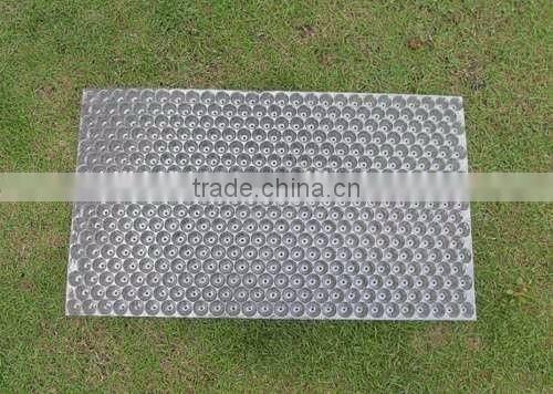 Hydroponic wheat/barley/rice/paddy seedling tray breeding