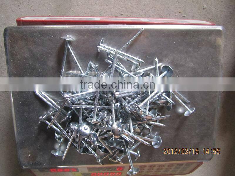 Twisted and plain shank roofing nails/linyi nails