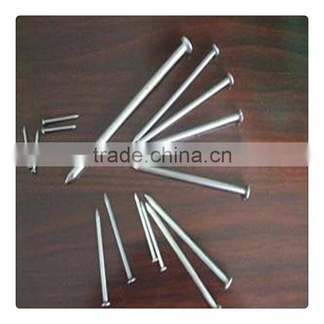 ISO certificate customized product XY smooth common wire nails (supplier)