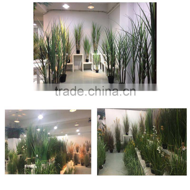 Factory Direct Sale Large Garden Decoration Onion Grass