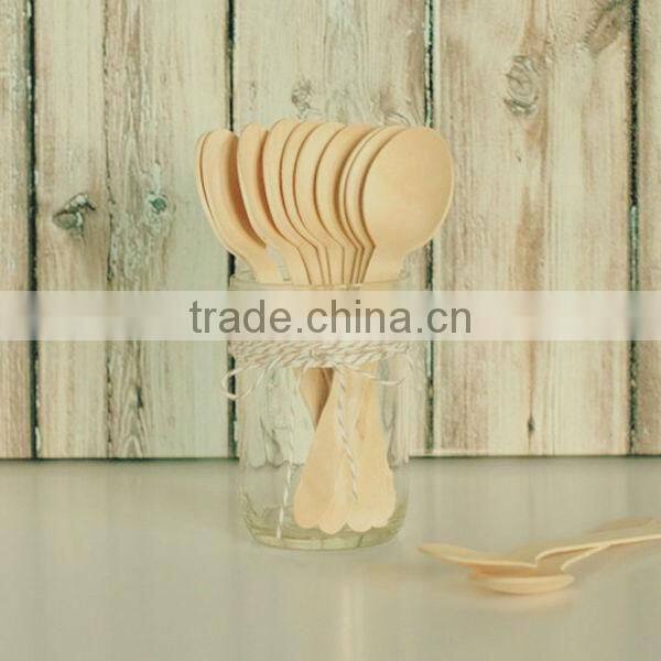 Wholesale Low Price Disposable Fancy Food Grade Party Spoon Salad