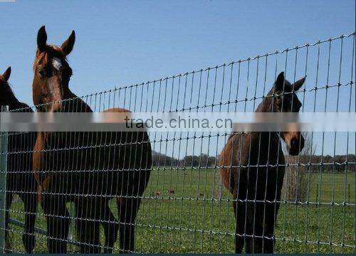 Welded Wire Mesh with personal factory
