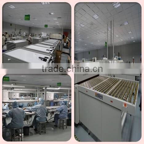 12V Two Lamp Solar Garden Light/Solar Courtyard Light facrory price