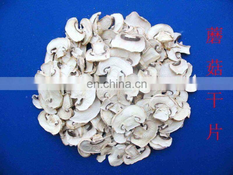 500-700kg/h stainless steel mushroom slicing machine/mushroom cutting machine