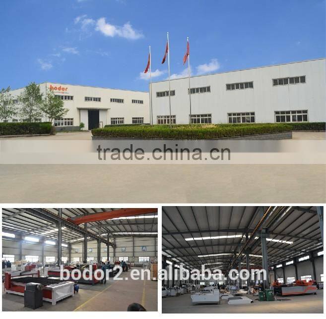 laser marking machine for animal ear tag