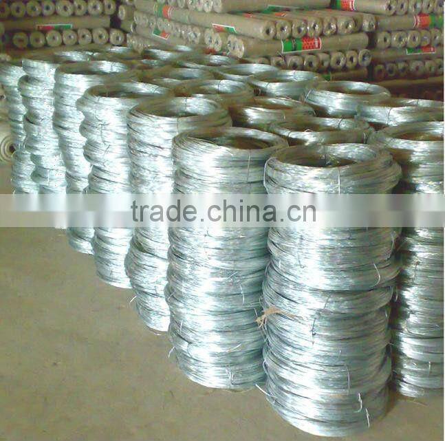 hot saled galvanized wires