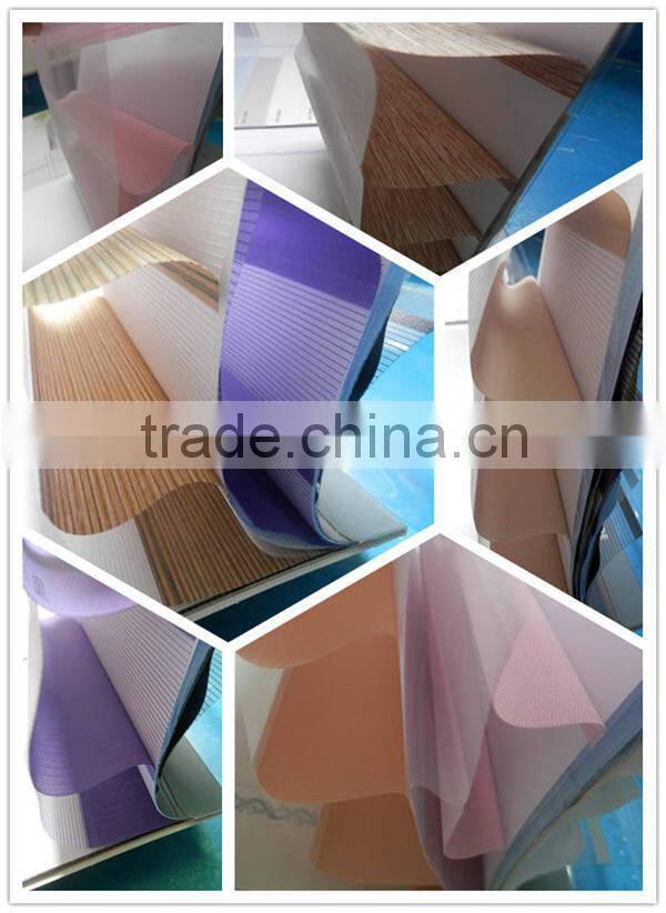 Home Decorating Fabric Shangri-la Roller Blinds/Triple Shades with Manual/Motorized System