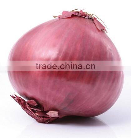 300kg/h Onion Skin Peeling and Removing Machine|Fresh Onion Skin Peeler/Remover/Skinner