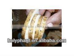 2013 high capacity cassava peeling and cutting machine