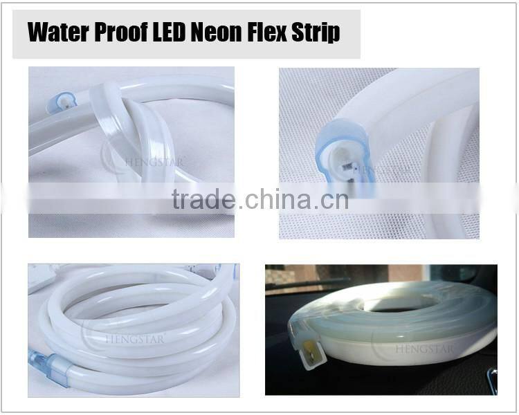 5M 300LEDs 24V 12V LED Neon Flex Digital Programmable RGB Neon LED Strip