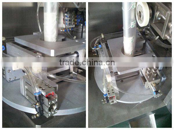 DXDK-100SJ Triangular Diet Teabag Automatic Packing Machine
