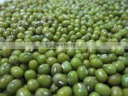 Organic Fresh Green Beans