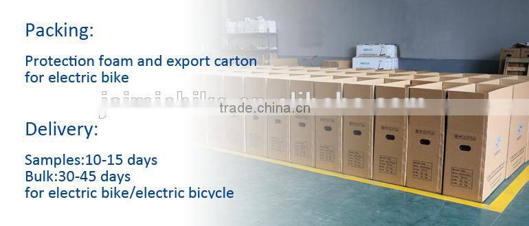 battery 36v for ebike