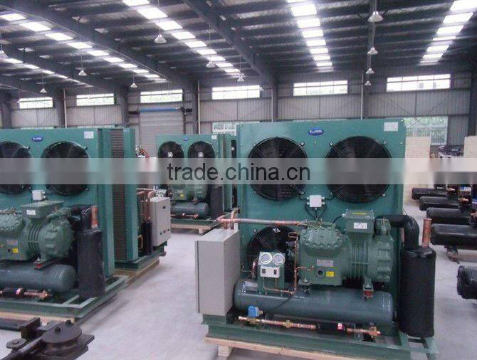 Guangzhou cold room refrigeration unit factory to keeping fresh and cooling