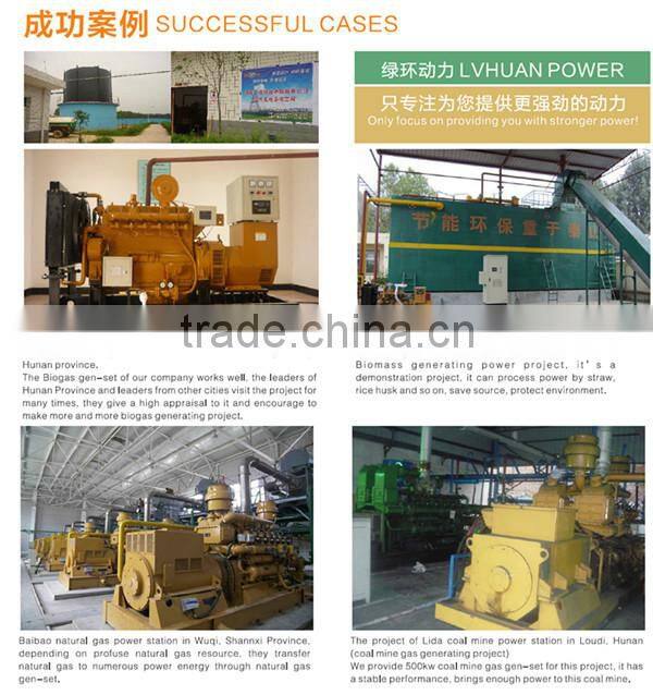 CE certified 10kw - 1mw coal methane gas /shale gas generator set