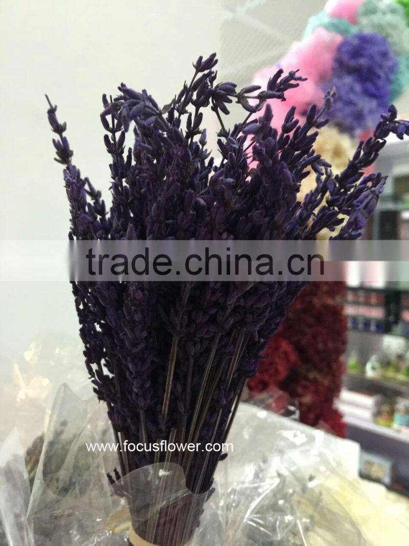 Aibaba Com Dried Flowers Wholesale Pink Gypsophila With Good Smell